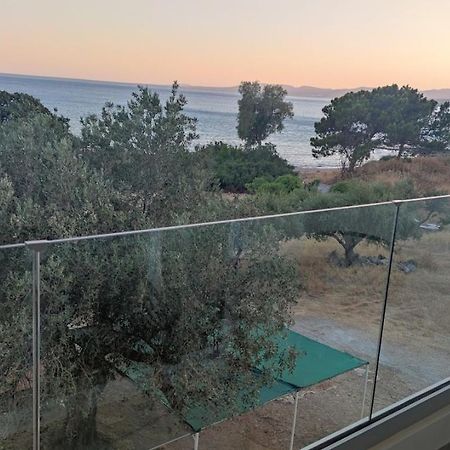 Tesoro Del Mare Apartment Pefki Екстериор снимка